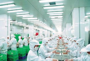 貴州茅臺市值突破1.5萬億 三季報凈利大增23%，白酒龍頭如何引領行業新風向？